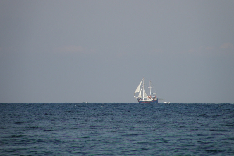 Segelschiff - genau am Horizont!