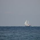 Segelschiff - genau am Horizont!