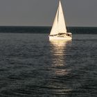 Segelschiff im Bodensee