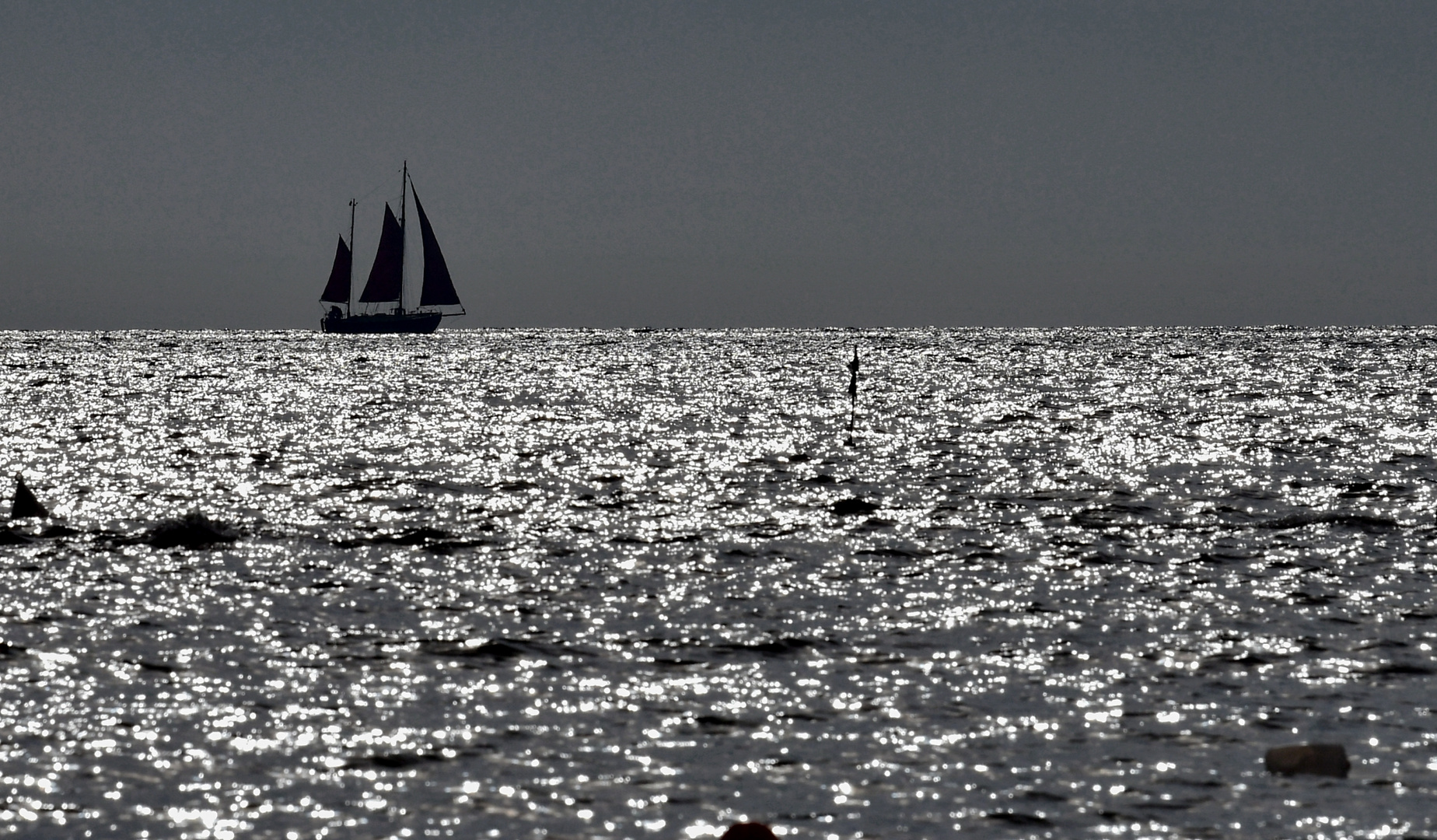 Segelschiff im Gegenlicht