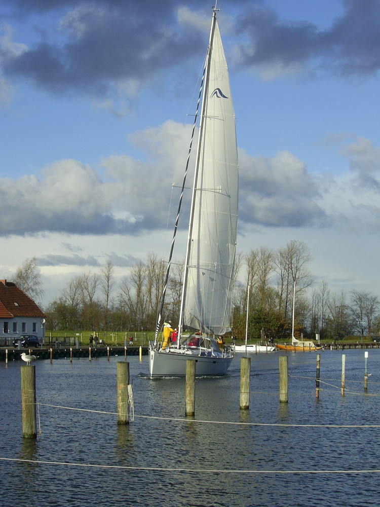 Segelschiff im Hafen von Wieck