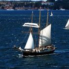 Segelschiff im Kieler Hafen