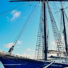 Segelschiff im Rostocker Hafen