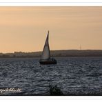 Segelschiff im Sonnenuntergang auf der Förde bei Langballig Au