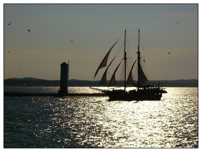 Segelschiff in der Abendsonne