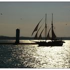 Segelschiff in der Abendsonne