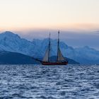 Segelschiff in einem Fjord Nähe Tromsø