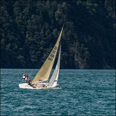 Segelschiff in voller Fahrt