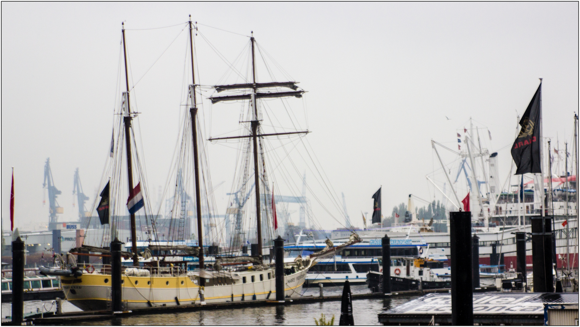 Segelschiff MARE FRISIUM im Hamburger Hafen