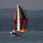 Segelschiff mit gesetztem Spinnaker I