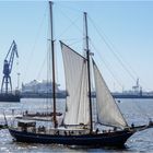 Segelschiff Schoner STORTEMELK (NL)