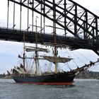 Segelschiff unter Harbour Bridge