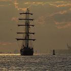 Segelschiff verläßt den Hamburger Hafen