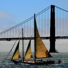 Segelschiff vor der Golden Gate Bridge