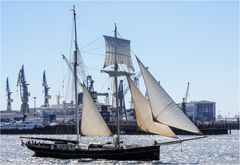 Segelschiff WYLDE SWAN (NL) ...