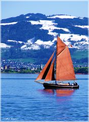 Segelschiff_Bodensee_170430