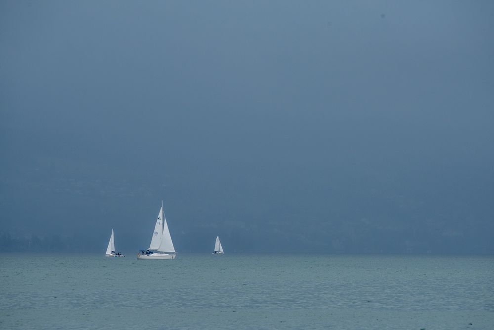 Segelschiffe auf dem Bodensee