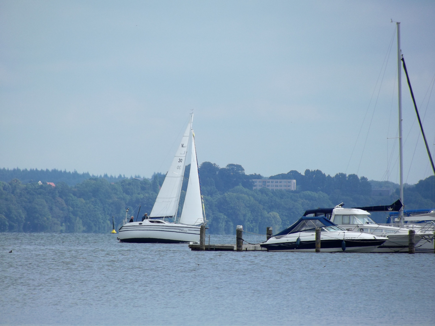 segelschiffe auf dem schweriner see