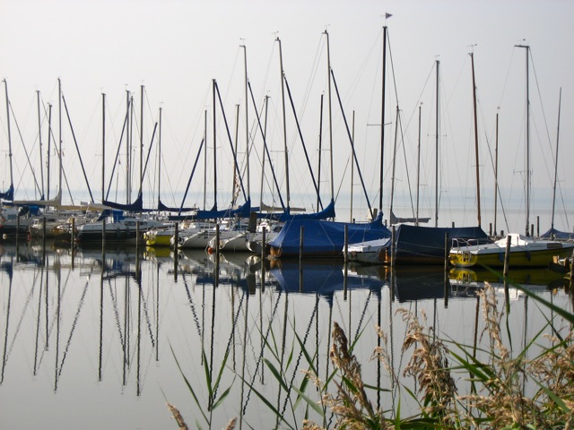 Segelschiffe auf dem Steinhuder Meer