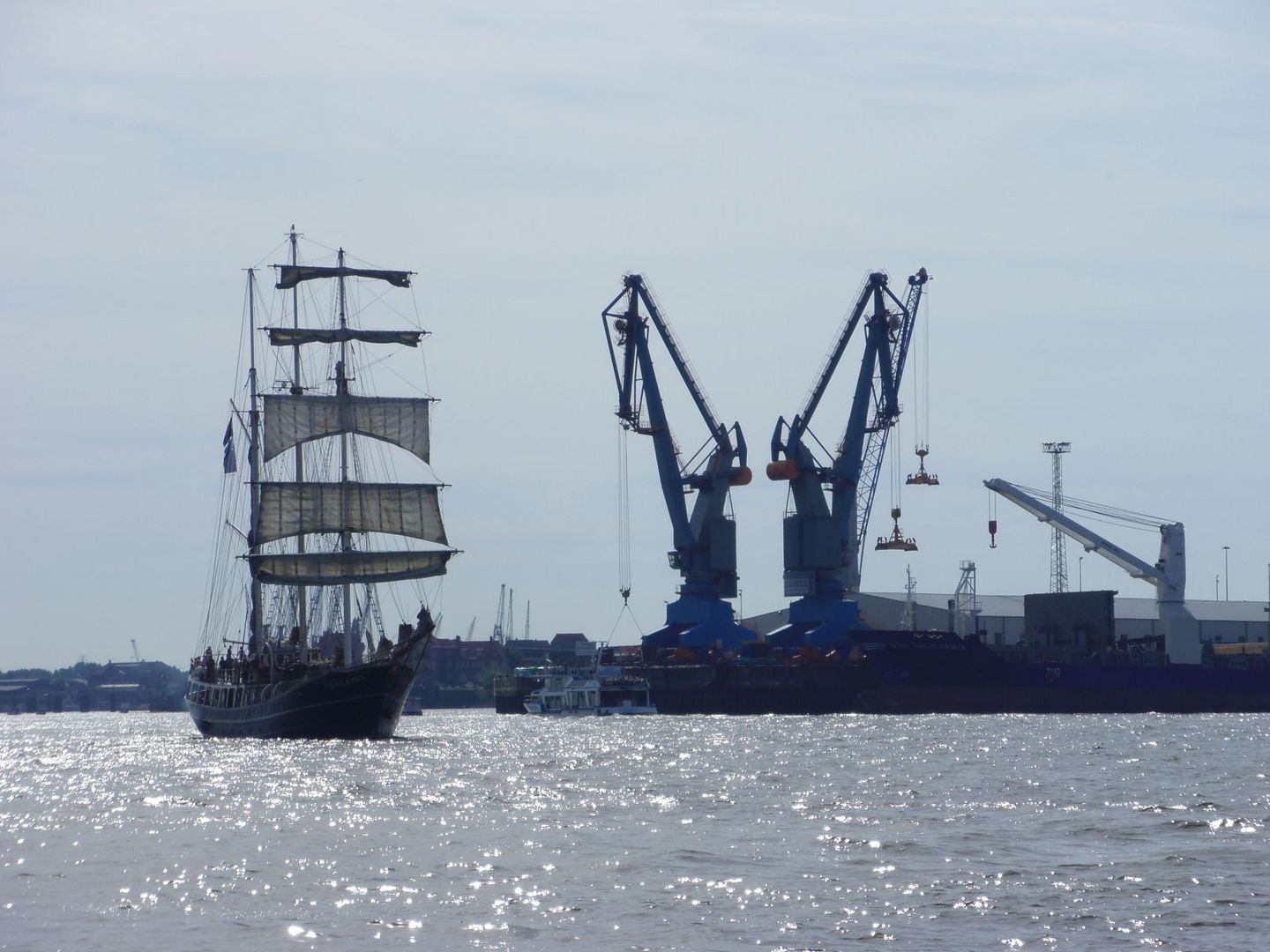 Segelschiffe auf der Elbe / Hamburger Hafen