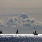 Segelschiffe auf der Ostsee