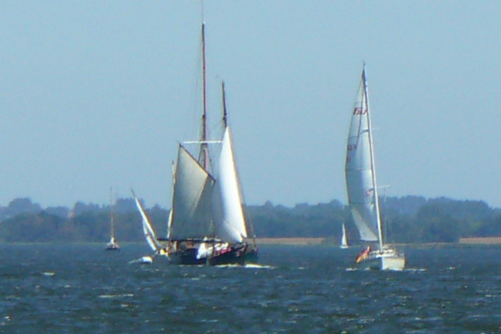 Segelschiffe auf der Schlei