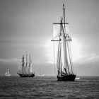 Segelschiffe bei der Abendausfahrt vor Warnemünde.