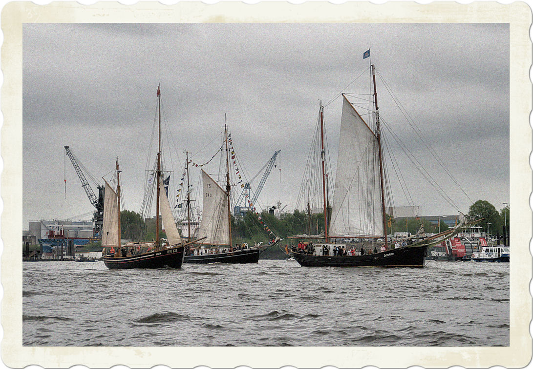 Segelschiffe bei der Parade im Hamburger Hafen.