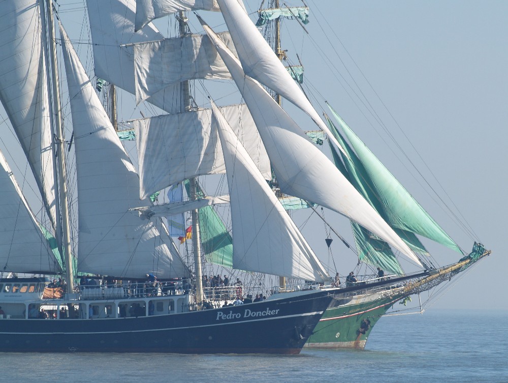 Segelschiffe beim Jade Weser Port Cup auf der Jade vor Wilhelmshaven