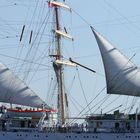 Segelschulschiff Dar Mlodziezy auf der Elbe