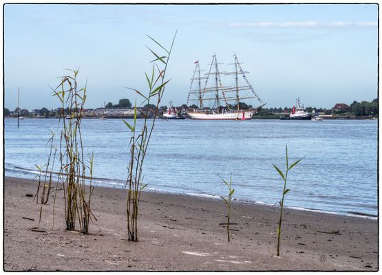Segelschulschiff DEUTSCHLAND passiert Harriesand