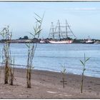 Segelschulschiff DEUTSCHLAND passiert Harriesand