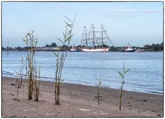 Segelschulschiff DEUTSCHLAND passiert Harriesand