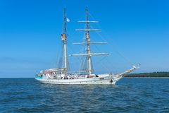  Segelschulschiff Greif im Greifswalder Bodden 