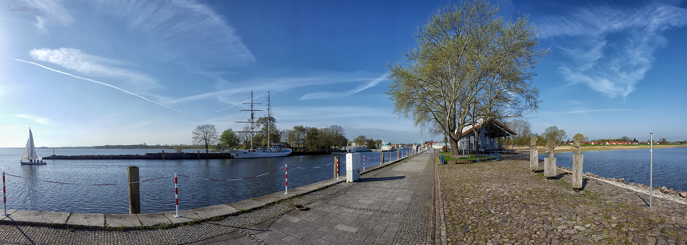 Segelschulschiff "Greif" in Greifswald-Wieck