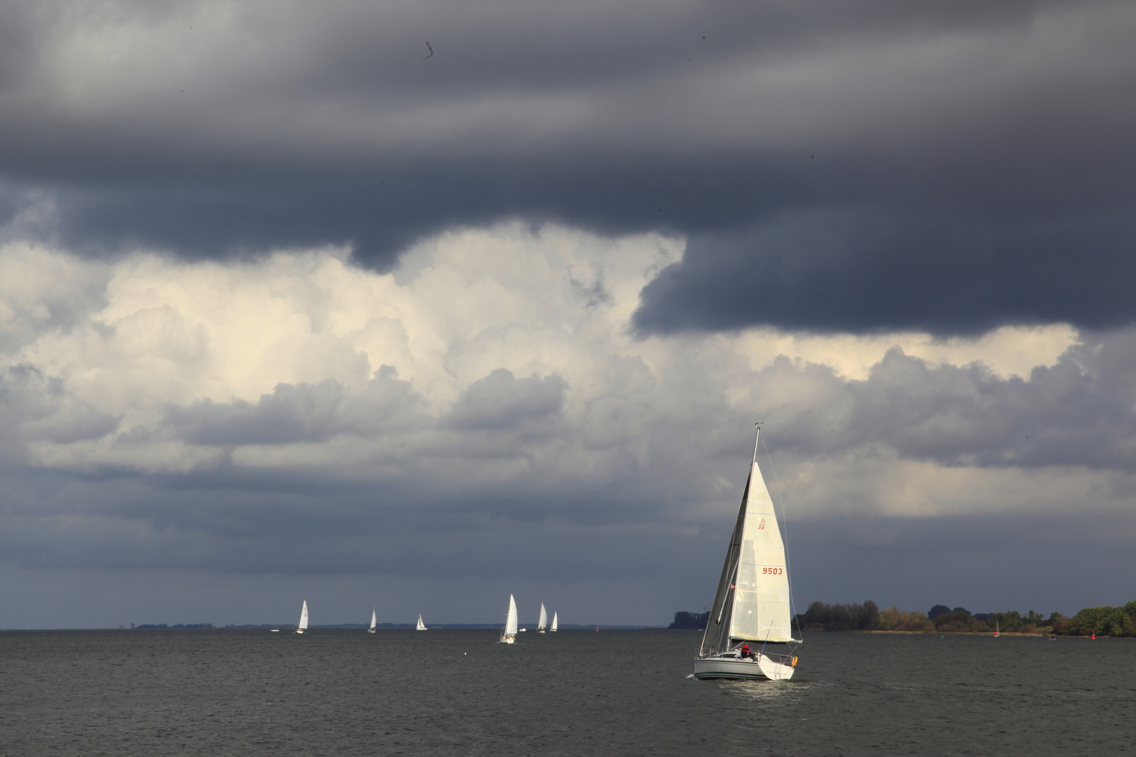 Segelsiffe auf der Ostsee Vor Strahlsund 