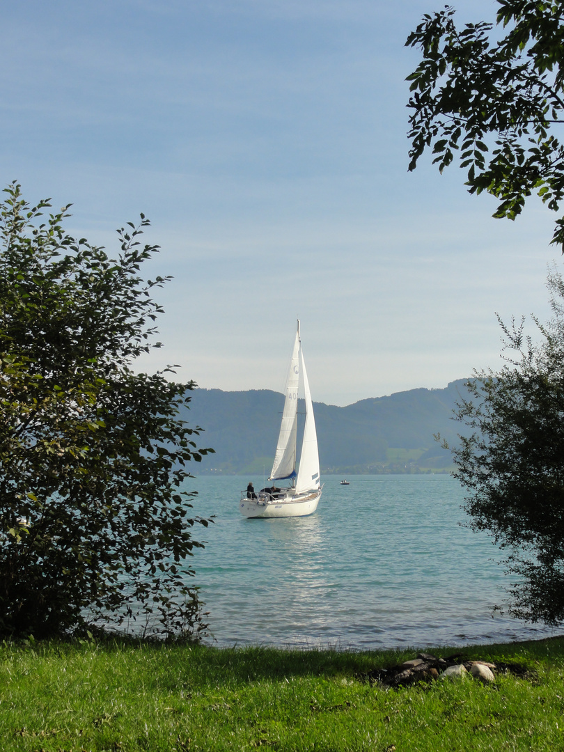 Segelspaß auf dem Attersee