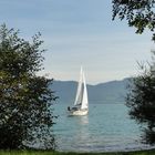 Segelspaß auf dem Attersee