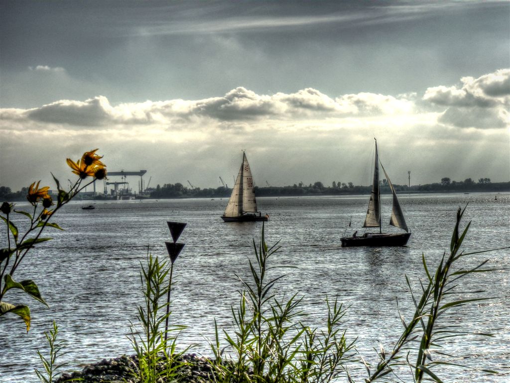 Segeltörn auf der Elbe