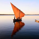 Segeltörn in einer alten arabischen Dhau