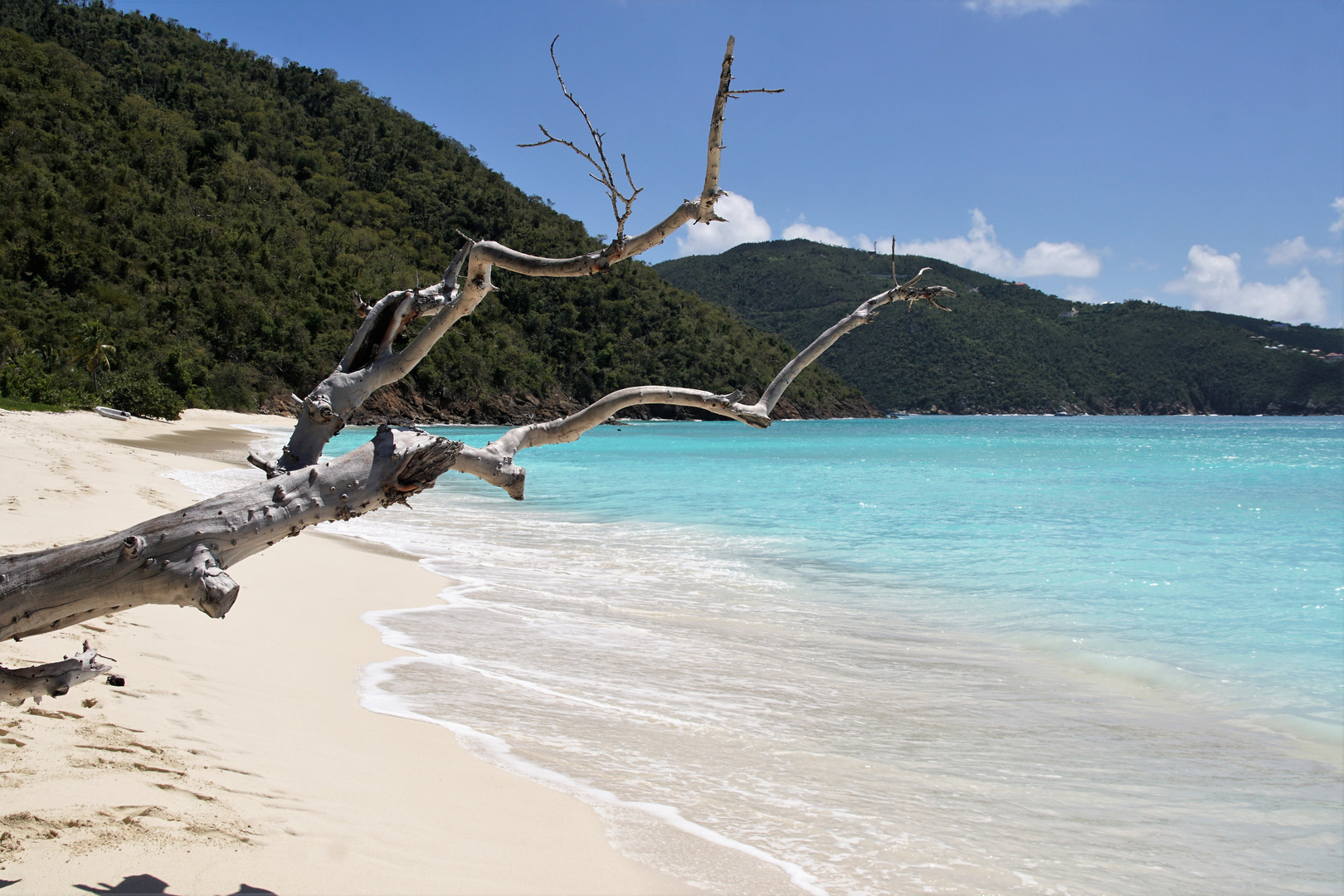 Segeltörn Karibik, British Virgin Island, Guana Is.