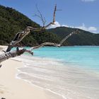 Segeltörn Karibik, British Virgin Island, Guana Is.