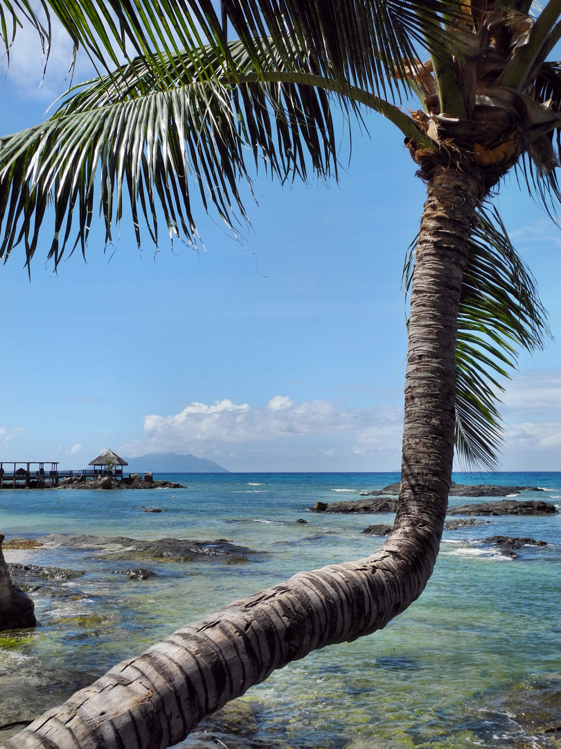 Segeltörn Seychellen: Beau Vallon Beach auf Mahe