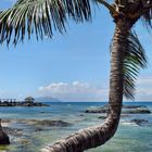 Segeltörn Seychellen: Beau Vallon Beach auf Mahe