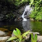 Segeltörn Seychellen: Die Sauzier-Wasserfälle an der Westküste von Mahe