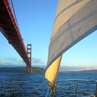 Segeltörn unter der Golden Gate Brigde