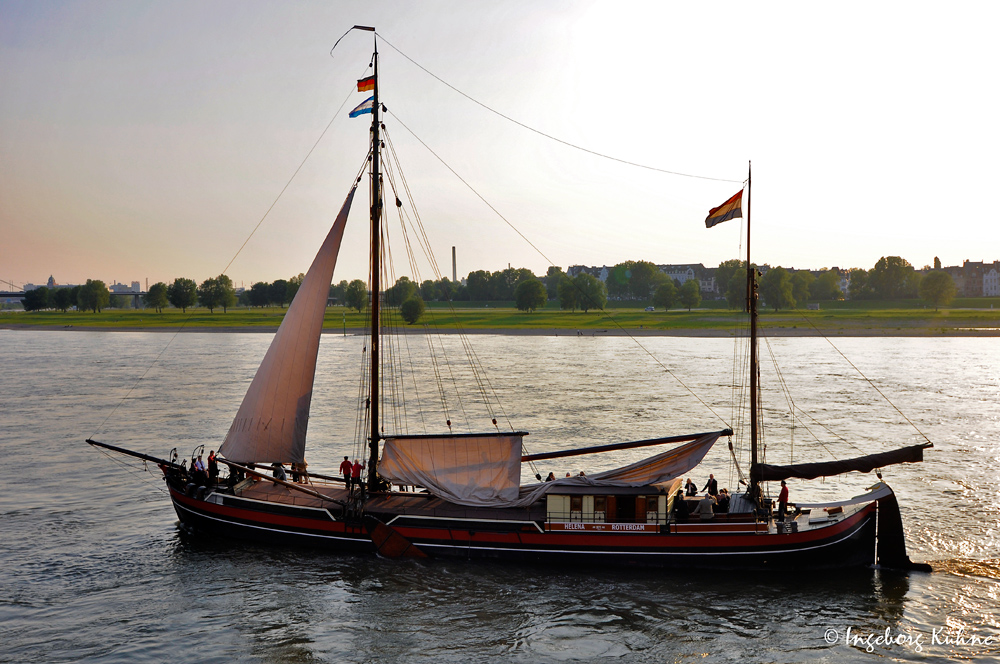 Segelvergnügen auf dem Rhein bei Düsseldorf