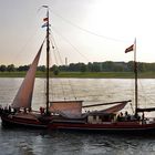 Segelvergnügen auf dem Rhein bei Düsseldorf