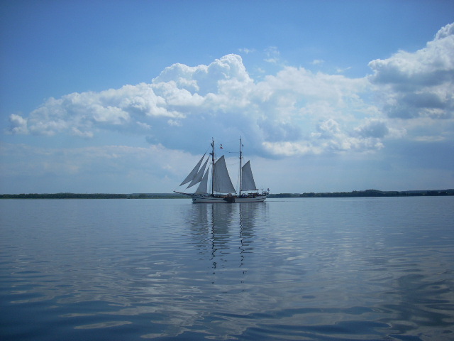 Segelyacht auf dem Achterwasser/ Usedom