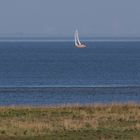 Segelyacht auf der Elbe Höhe Altenbruch bei Cuxhaven